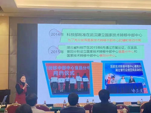 向艳 探索科技中介服务新模式，激活创新生态系统